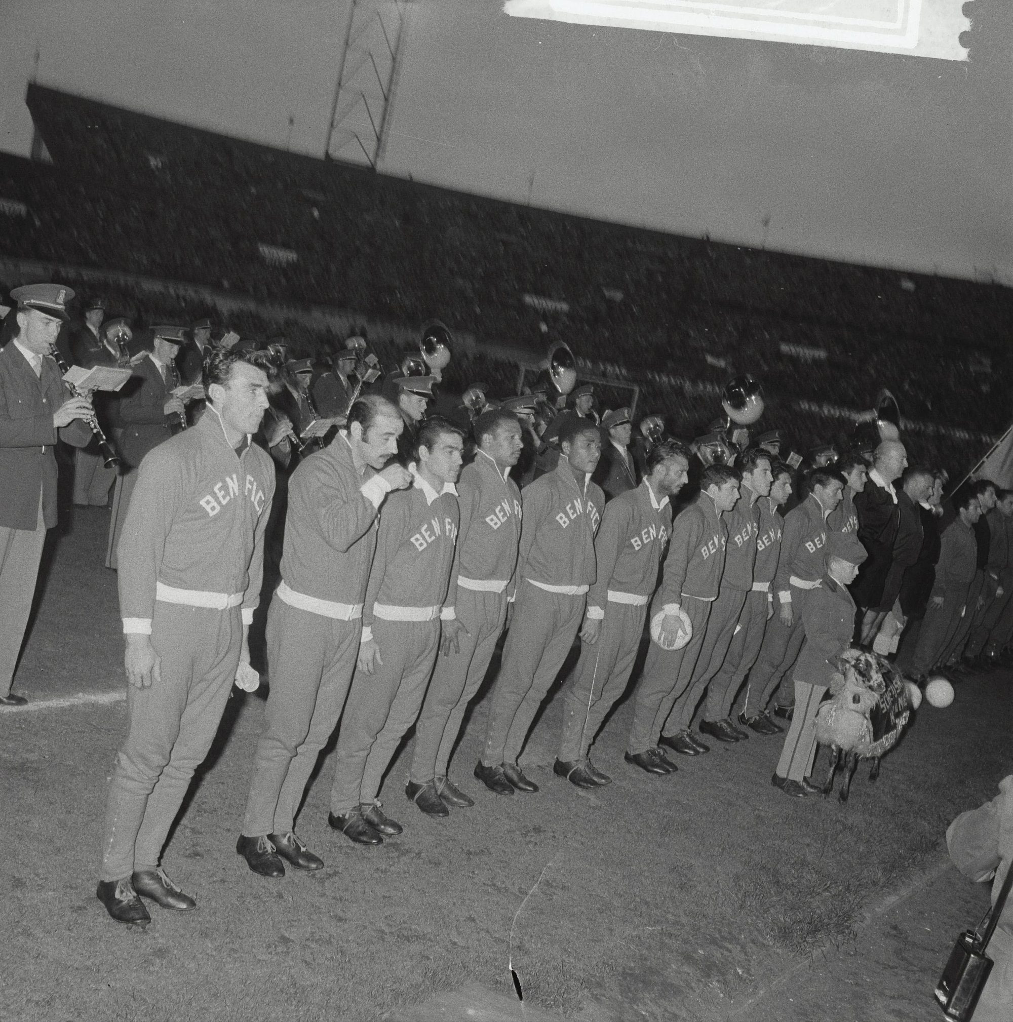 benfica equipa